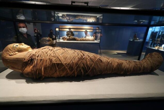 Pharoah mummy