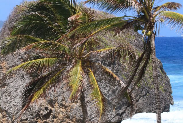 3-Day Barbados Coastal Hiking & Snorkeling Adventure