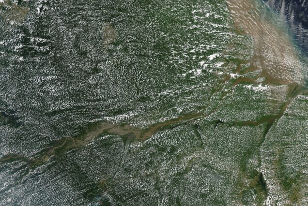 4-Day Amazon Rainforest Wildlife & Kayaking Adventure, Colombia