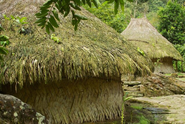5-Day Lost City Trek & Tayrona Adventure, Colombia